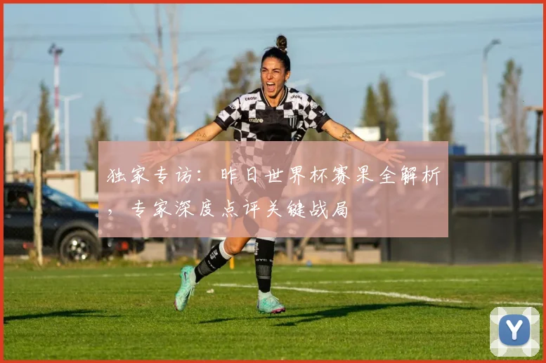 独家专访:昨日世界杯赛果全解析,专家深度点评关键战局