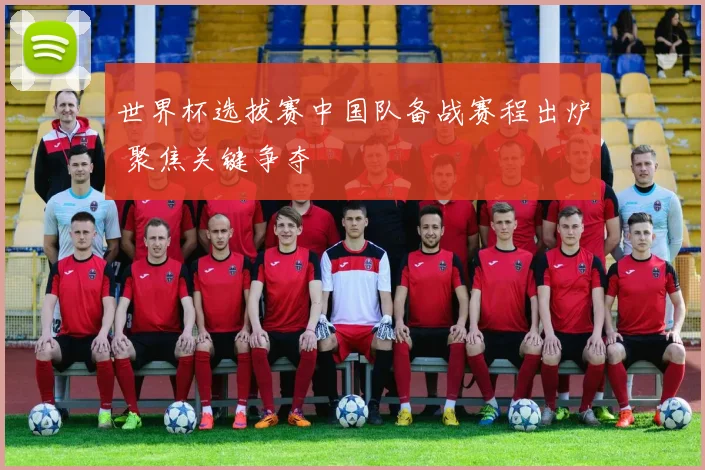 世界杯选拔赛中国队备战赛程出炉 聚焦关键争夺