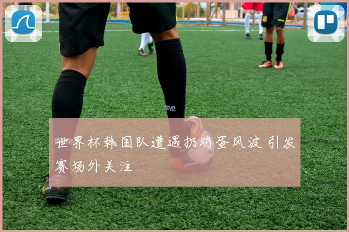 世界杯韩国队遭遇扔鸡蛋风波 引发赛场外关注