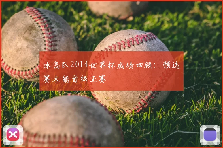 冰岛队2014世界杯成绩回顾:预选赛未能晋级正赛